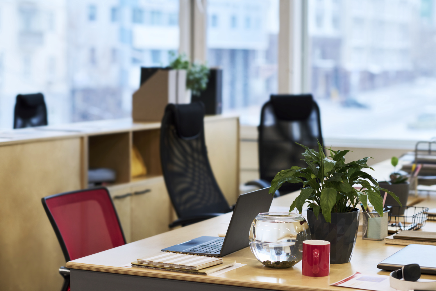 Ab Immigration Avocate - A propos